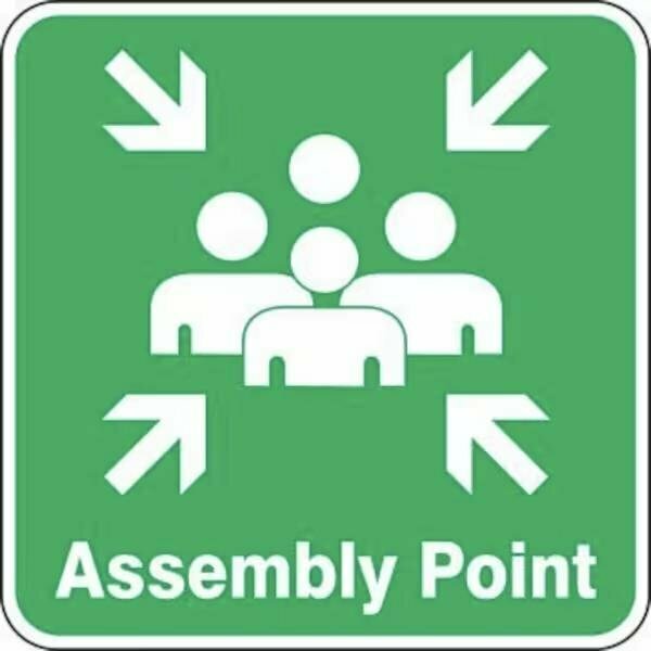 Accuform SAFETY SIGN ASSEMBLY POINT 24 in  X 24 in FRR922RA